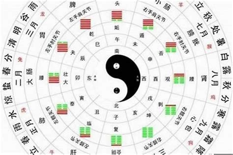 適合投資股票的八字|浅析什么八字格局下，利于炒股？